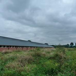 De eieren van het bedrijf in Terwolde gaan via broederij Reemst uit Barneveld naar Belgabroed. De Heus levert het mengvoer. De broedeieren uit Vaassen gaan naar broederij Lagerwei in Lunteren, het mengvoer komt van De Hoop uit Zelhem (GD). Door twee voerl