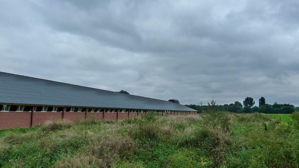 Familie Keurhorst hield in het verleden melkkoeien en vleeskuikenouderdieren. In 2009 zijn de laatste melkkoeien weg gegaan en besloot Keurhorst zich volledig op pluimvee te richten. De pluimveehouders hebben twee locaties. In Terwolde hebben ze in 2007 u