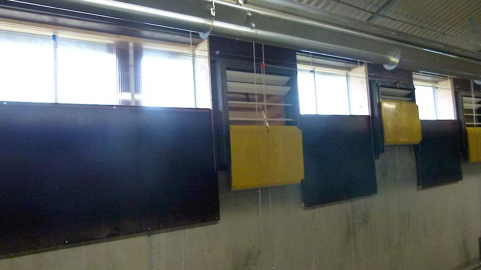 Keurhorst kan gebruik maken van daglicht. In beide stalzijden zitten ramen. Voor deze ramen zitten kleppen die oplierbaar zijn. Ze zijn van plan om die kleppen van 9 tot 18 uur te laten zakken. ’s Morgens 5 uur gaat de TL verlichting aan, in het begin sta
