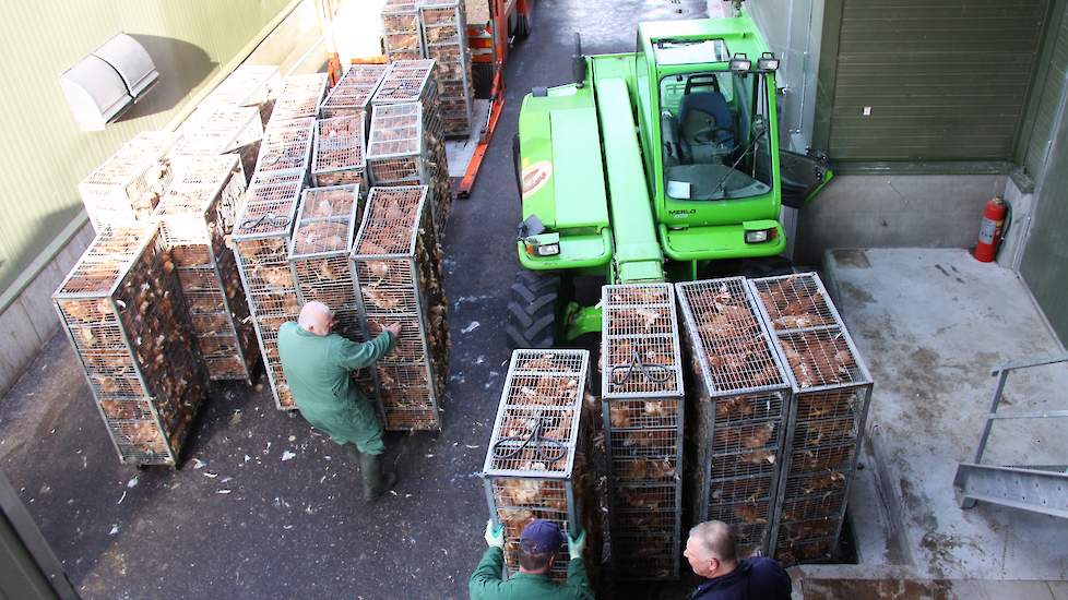 In de bak van de verreiker passen vier containers met kippen.