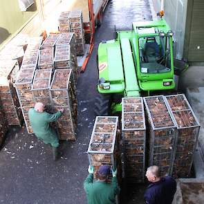 In de bak van de verreiker passen vier containers met kippen.