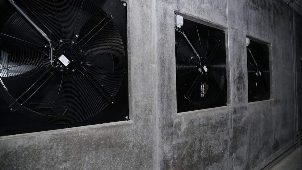 De pluimveehouders kozen voor 100 procent lengte ventilatie. Achterin in de linkerzijwand zitten drie kleinere ventilatoren die de minimumventilatie verzorgen. „Deze drie ventilatoren hebben allemaal een frequentieregelaar in de motor ingebouwd en zijn da