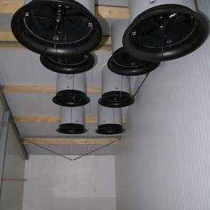 Achterin de stal zitten acht grote ventilatoren in een zogenaamde onderdrukkamer. Zeven van die acht ventilatoren kunnen alleen aan en uit en één ventilator kan trapsgewijs bij of terug schakelen. Er zitten geen dak boven de kokers om tegendruk te voorkom