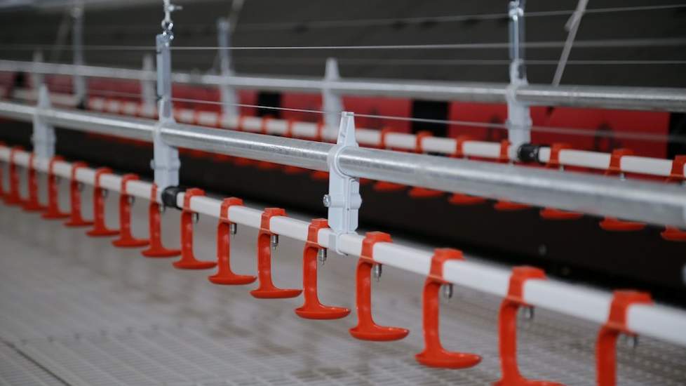 De vermeerderaars kozen voor het eerst voor drinknippels. In hun andere stallen werken ze allemaal met drinktorens. „Ons wordt geadviseerd om de kippen 7 tot 8 uur per dag water te geven. Dat is langer dan we vroeger deden”, zegt Willemien. „Met het water