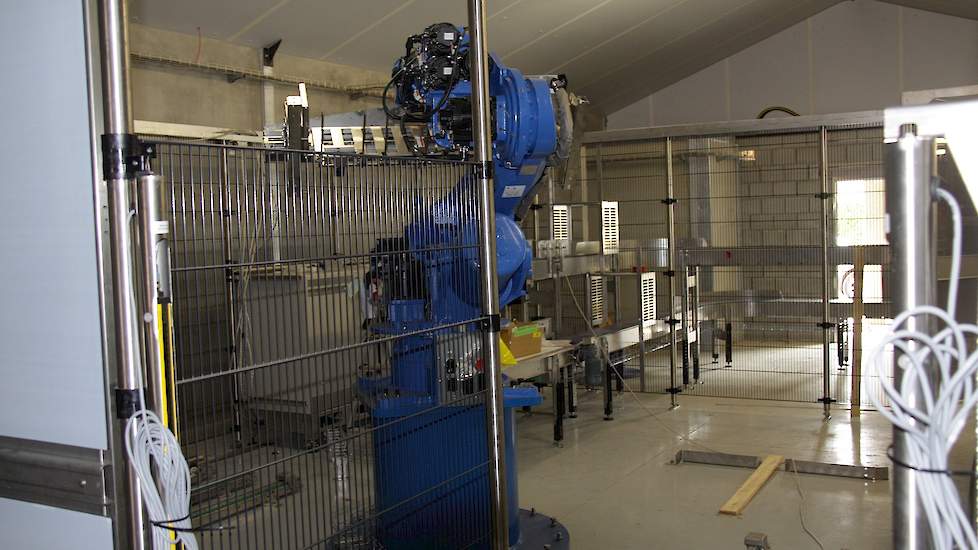 Deze robot stapelt straks de eierentrays automatisch op pallets.