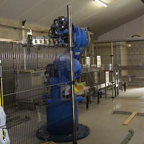 Deze robot stapelt straks de eierentrays automatisch op pallets.