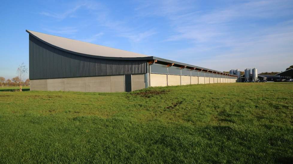 De achterkant van de Windstreekstal. Het dak lijkt op een skischans. „De stal is natuurlijk geventileerd en energieneutraal”, zegt Nijkamp. Er zitten geen ventilatoren in de stal en de energie afkomstig van de zonnepanelen op de andere twee scharrelvleesk