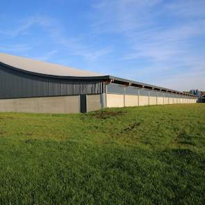 De achterkant van de Windstreekstal. Het dak lijkt op een skischans. „De stal is natuurlijk geventileerd en energieneutraal”, zegt Nijkamp. Er zitten geen ventilatoren in de stal en de energie afkomstig van de zonnepanelen op de andere twee scharrelvleesk