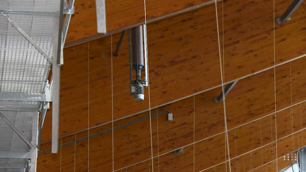 Nijkamp koos voor houten spanten omdat die makkelijker in die boogvorm te maken zijn en volgens hem langer meegaan dan stalen spanten. In de stal hangen ook graanstrooiers. Door het strooien van tarwe biedt Nijkamp de dieren afleiding, wat ten gunste komt