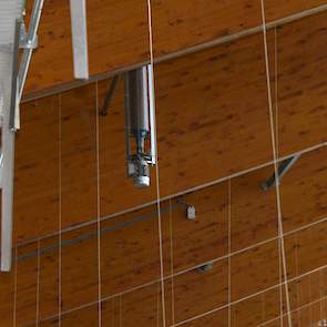 Nijkamp koos voor houten spanten omdat die makkelijker in die boogvorm te maken zijn en volgens hem langer meegaan dan stalen spanten. In de stal hangen ook graanstrooiers. Door het strooien van tarwe biedt Nijkamp de dieren afleiding, wat ten gunste komt