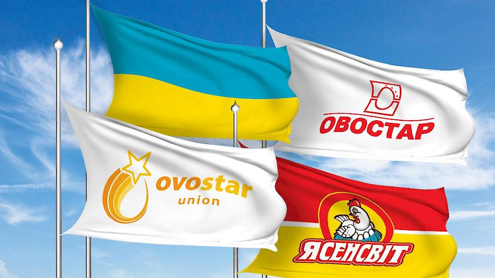 De bedrijfsvlaggen van Ovostar Union. Ovostar is ontstaan in 1998 uit een fusie van de twee pluimveebedrijven van Borys Bielikov en Vitaliy Veresenko. In de jaren daarna zijn diverse bedrijven aan de lokale Ovostar Union toegevoegd. De Ovostar Union N.V.