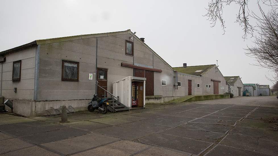 De broers Léon (43) en Wilco (42) Jansen houden 33.000 opfokhennen en 99.000 leghennen van drie leeftijden. Ze houden 53.000 scharrel- en 46.000 vrije uitloop hennen en fokken al hun hennen zelf op. Hun bedrijf, dat Ekoz Pluimvee vof heet, telt zes stalle