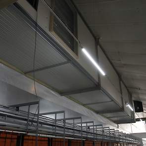 Van de Fliert koos voor oplierbare LED lampen, die warm wit licht geven. „Bij het schoonmaken en vervangen van de lampen is het makkelijk dat ze oplierbaar zijn. Bovendien kunnen we de lampen hoger of lager hangen als het aantal grondeieren tegenvalt”, mo