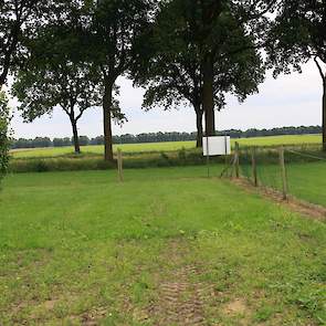 Het gaas van de vrije uitloop staat er nog.