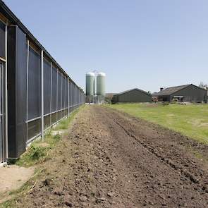 Kievitsbosch moet het gaas voor de uitloop van de hennen naast de stal nog opzetten.