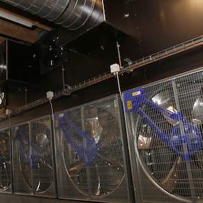 Kievitsbosch koos voor lengteventilatie omdat ze moesten werken met één emissiepunt van de uitgaande stallucht.