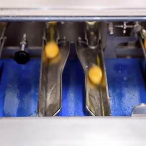 De eiproducten fabriek in Ospel, produceert wekelijks zo’n 1000 ton vloeibaar eiproduct voor onder andere de pasta-, koekjes-, likeur- en cake-industrie. De fabriek bestaat uit twee delen. In het eerste deel worden de eieren gebroken en wordt het eigeel v