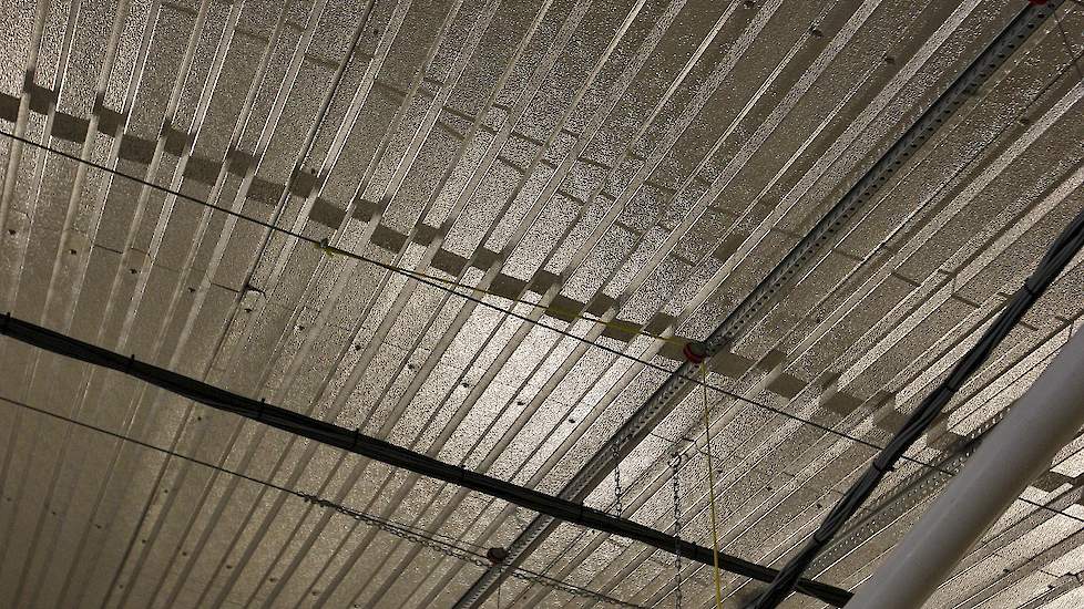 Van Bijsterveldt koos voor een aluminium plafond. Dat is in Vlaanderen in tegenstelling tot Nederland niet gebruikelijk. Bovenop het aluminium plafond zit 15 centimeter dik glaswol. „Glaswol isoleert beter dan bijvoorbeeld dupanel. Bovendien is het brandv