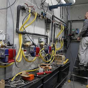 Van Bijsterveldt gaat werken met medicijnmixers per afdeling, waarmee hij entstof en antibiotica aan het water toe kan voegen als dat nodig is. „In deze stal komen in de voorste 33,5 meter hanen te zitten en de achterste 60 meter hennen. Die hebben dan hu