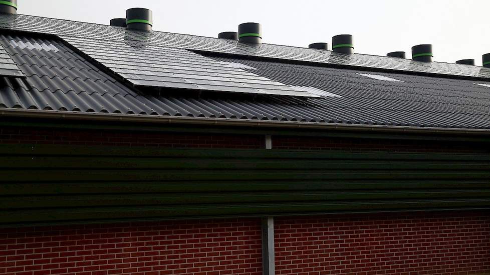 Op het dak van de nieuwe stal van Vierhouten liggen aan de zuidkant zonnepanelen. Zo voorziet hij voor een groot gedeelte zelf in zijn stroombehoefte.