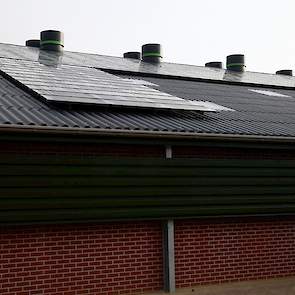 Op het dak van de nieuwe stal van Vierhouten liggen aan de zuidkant zonnepanelen. Zo voorziet hij voor een groot gedeelte zelf in zijn stroombehoefte.
