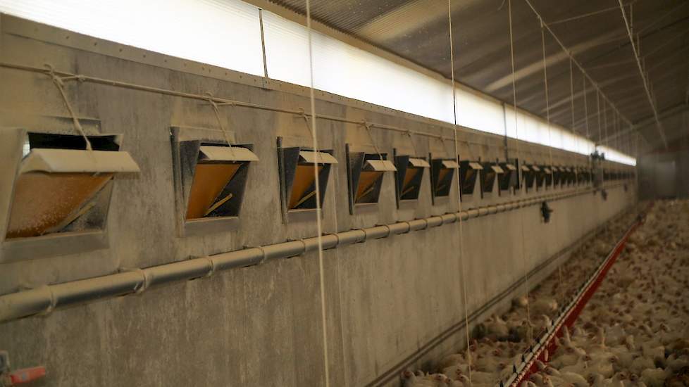 Net als in de twee stallen uit 2002 koos hij in de nieuwe stallen voor de 4 seizoenen luchtinlaatventielen van Tulderhof.