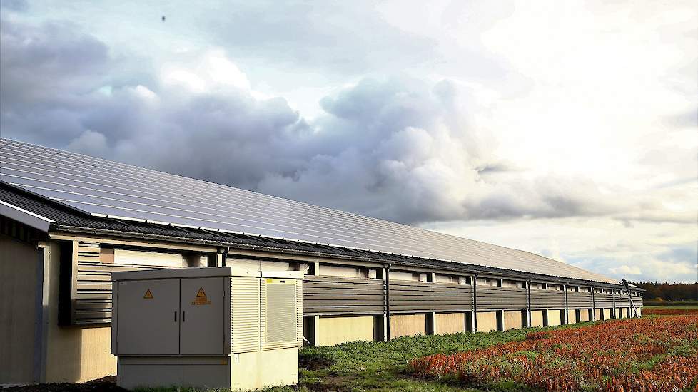 Op de daken plaatste Beijering 1.500 zonnepanelen. Hun zonnepanelen leveren jaarlijks circa 500.000 kilowatt stroom. Dat is goed voor ongeveer 135 huishoudens. „Als zomers de zon fel schijnt, kan ik ons bedrijf makkelijk van stroom voorzien en alles wat o