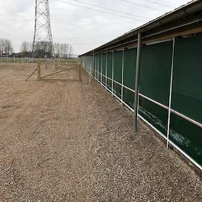 De eerste 20 meter van de uitloop vanaf de stal is voorzien van zeeschelpengrit. „Zo nemen de hennen minder vuil van buiten mee in de stallen”, licht Van Esch toe.