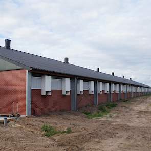 Zijaanzicht nieuwe stal. „De totale procedure voor nieuwbouw heeft vijf jaar geduurd. Het is hier een Landbouw Ontwikkelings Gebied maar de dialoog met provincie, burgers en gemeente duurde twee jaar", vertelde Peter Buts. De bouw duurde drie maanden. Bou