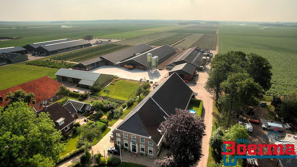 De familie bouwde in 2001 hun eerste vleeskuikenstal (uiterst rechts). In april 2016 schakelde Boerma over van reguliere vleeskuikens naar de Nieuwe Standaard Kip die bij Jumbo te koop is. Na de uitbreiding houden ze 65.000 trager groeiende vleeskuikens i