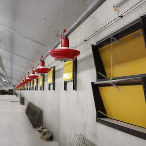 De hanenlijnen hangen in midden van de stal en langs beide zijmuren. Wolters koos ook voor tunnelkleppen. Tijdens warme zomerdagen kan Wolters deze tunnelkleppen gebruiken om meer lucht over de dieren te trekken en de staltemperatuur te verlagen.