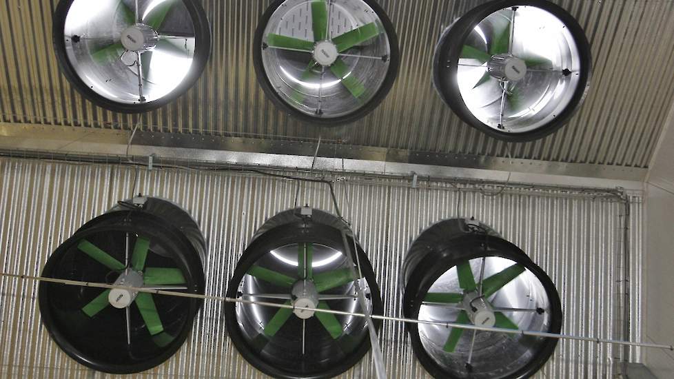 Wolters koos voor lengteventilatie. In het dak in de achterwand zitten zes ventilatoren waarvan drie regelbare.