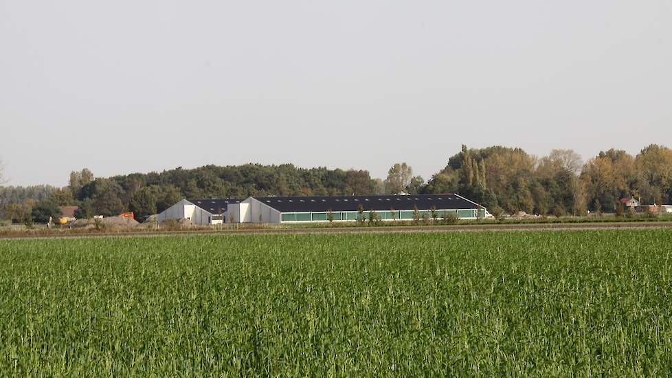 Marijn Uitdewilligen houdt aanstaande vrijdag 20 oktober een open dag vanwege de bouw van de twee nieuwe scharrelvleeskuikenstallen. Bezoekers zijn van 14.00 uur tot 20.00 uur van harte welkom aan de Galgenstraat 1 in Sint-Kruis (ZL).