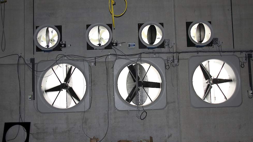 De vleeskuikenhouder gaat met de nieuwe BlueFan ventilatoren van Skov werken. In de achterwand zitten vier regelbare ventilatoren en drie grote aan/uit ventilatoren. „De BlueFan ventilatoren zijn zeer energiezuinig volgens onze installateur”, zegt Uitdewi