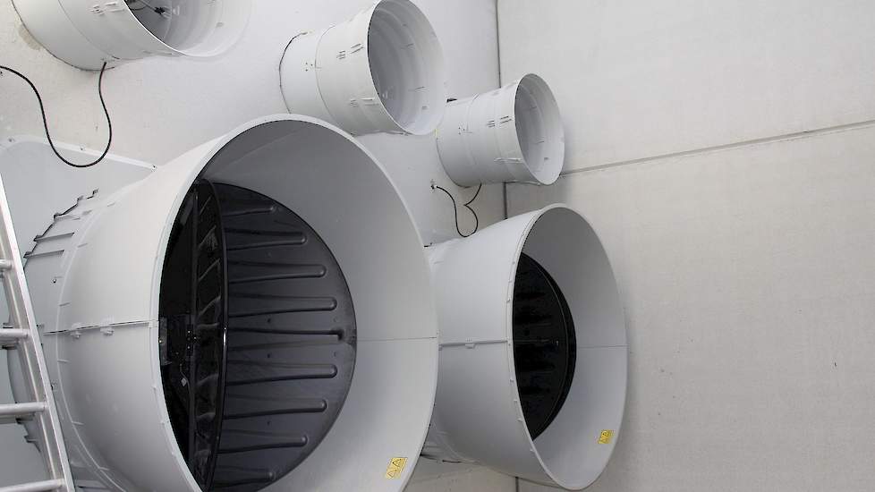 De zwarte kleppen van de grote ventilatoren gaan automatisch dicht als ze niet draaien. Daardoor is er geen koude trek uit de ventilatoren over de kuikens.