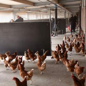 Een clubje van de plaatselijke Rabobank maakt zich ook nuttig in Lunteren.
