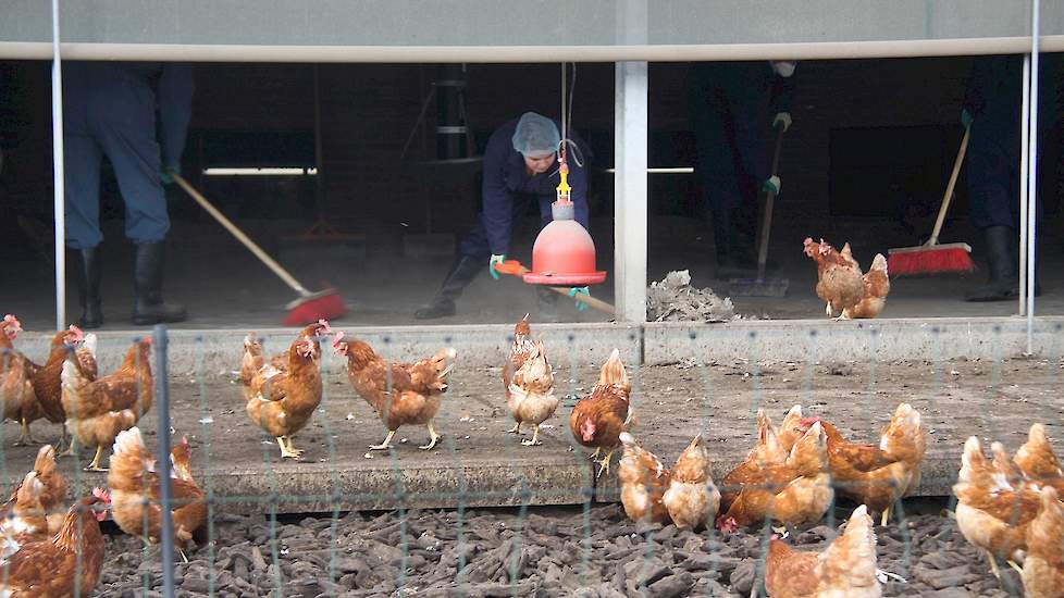 In de wintergarten is het nog het minst stoffig. Maar gezien het zweetgehalte van de vrijwilligers gaan alle stofkapjes uiteindelijk af.