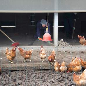 In de wintergarten is het nog het minst stoffig. Maar gezien het zweetgehalte van de vrijwilligers gaan alle stofkapjes uiteindelijk af.