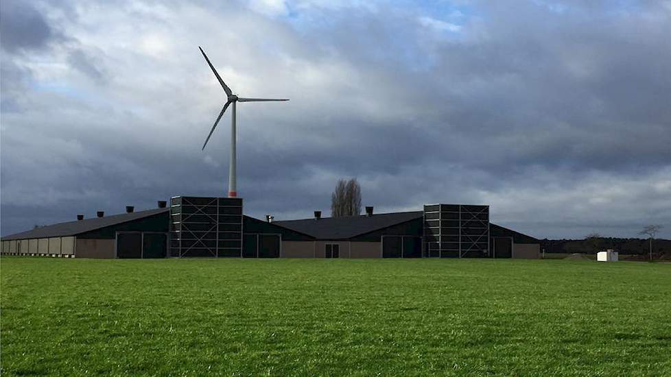 Verwaest verkoopt zijn broedeieren voor een vaste prijs aan broederij Spoormans. Ze hebben een afnamecontract voor drie ronden. Circa de helft van de vleeskuikenhoudes in België werkt in tegenstelling tot Verwaest op basis van voergeld met een bonussystee