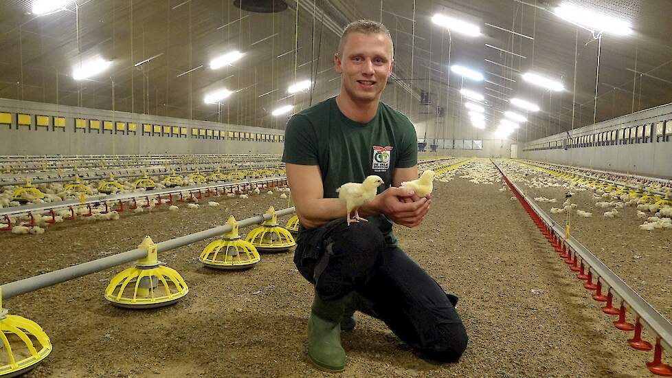 Fotoserie: 'Kuikenkwaliteit doorslaggevend voor diergezondheid'