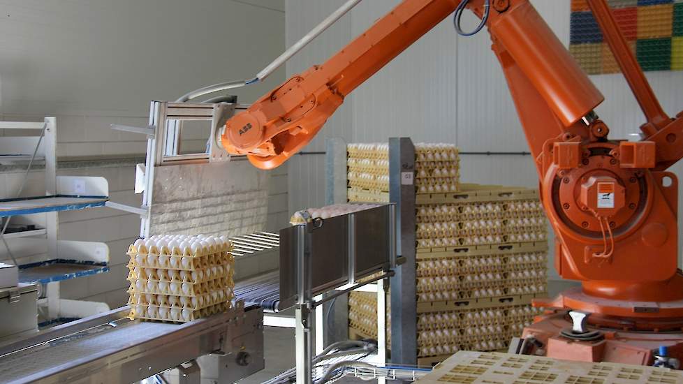 Een robot zet de stapels eieren automatisch op een pallet in het eierlokaal.