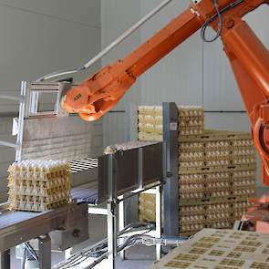 Een robot zet de stapels eieren automatisch op een pallet in het eierlokaal.