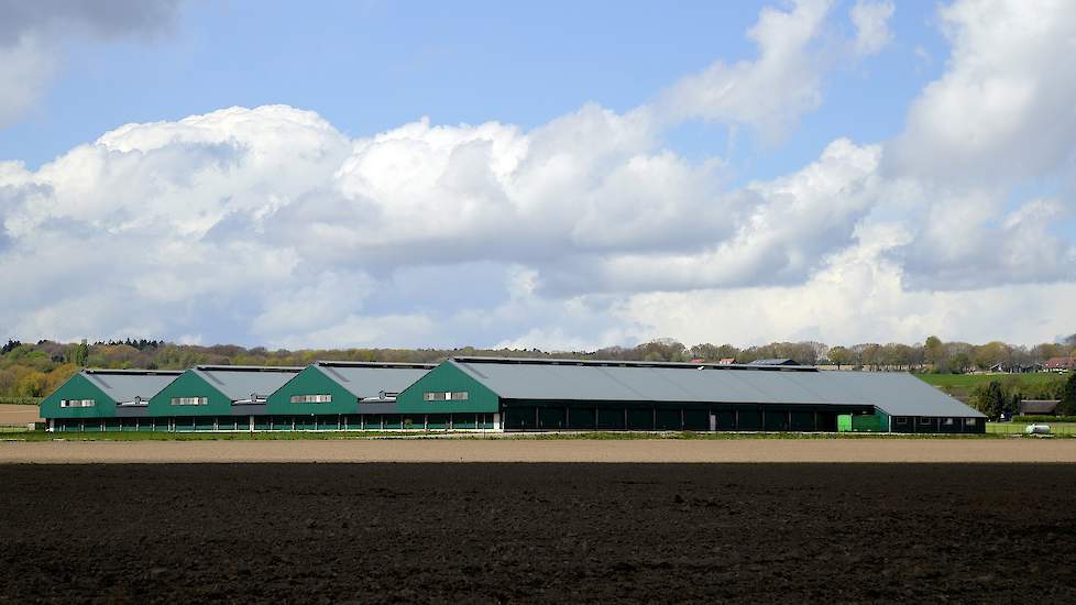 De gemeenteraad van Berg en Dal is tegen de heropening van het voormalig leghennenbedrijf voor een kleine 300.000 leghennen van Van Deurzen in Groesbeek (GD).