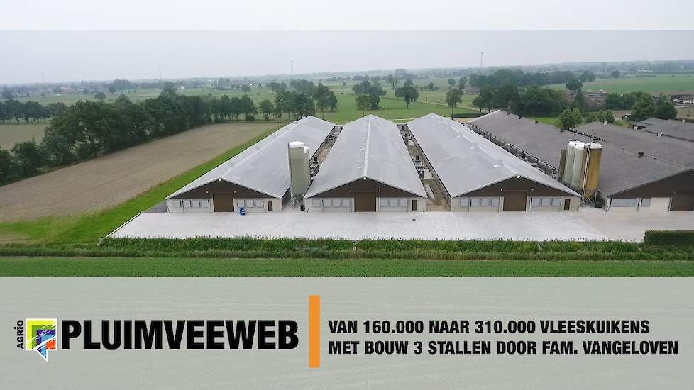 Van 160.000 naar 310.000 vleeskuikens met bouw van 3 stallen door fam. Vangeloven