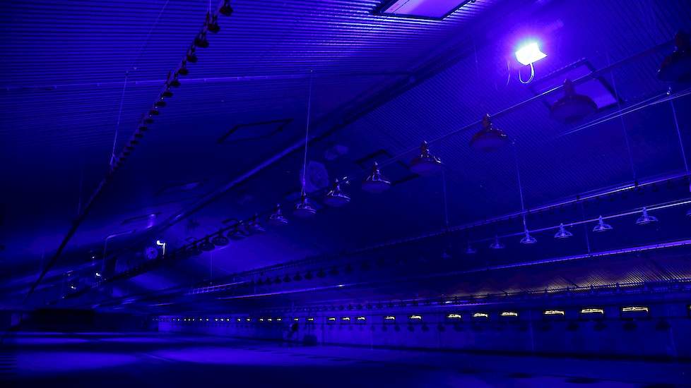 Tijdens het laden kan Boertien de LED verlichten omzetten naar blauw licht.