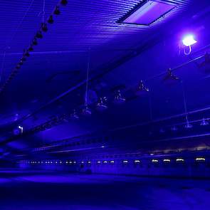 Tijdens het laden kan Boertien de LED verlichten omzetten naar blauw licht.