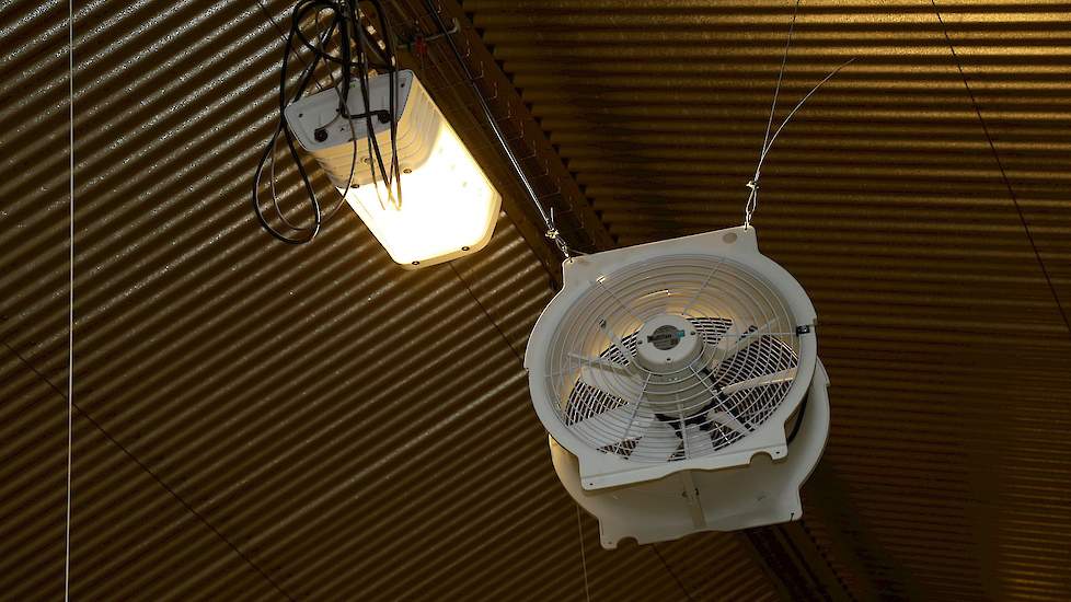 „LED verlichting is energiezuinig. Ik hoef nu slechts één rij LED lampen op te hangen. Met TL verlichting zou ik twee rijen lampen op moeten hangen. Bovendien moesten we in LED verlichting investeren om voldoende punten te halen om te voldoen aan de Maatl