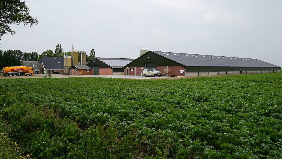 De nieuwe stal staat naast de twee andere stallen op het bedrijf uit 2007 en 1979. Het bouwbedrijf begon in januari met de bouw. De vergunningsaanvraag duurde anderhalf jaar omdat een aantal buren bezwaren had tegen de bouw van de nieuwe stal.