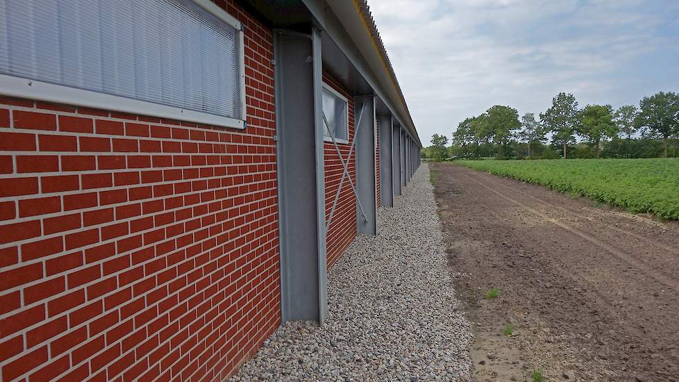 Naast de zij- en achtermuren van de stal ligt grint. „Ratten en muizen lopen niet graag over grint en krijgen zo minder kans de stal binnen te dringen”, motiveert Berkepies.