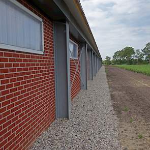 Naast de zij- en achtermuren van de stal ligt grint. „Ratten en muizen lopen niet graag over grint en krijgen zo minder kans de stal binnen te dringen”, motiveert Berkepies.